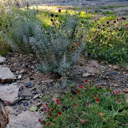 Osada Sudecka Domek alpejski