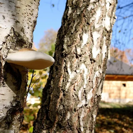 Osada Sudecka * Lądek-Zdrój