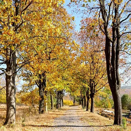 Chalet Osada Sudecka *