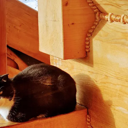 Osada Sudecka Domek alpejski Lądek-Zdrój