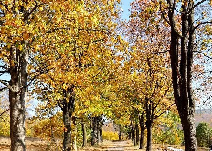 シャレー Osada Sudecka *