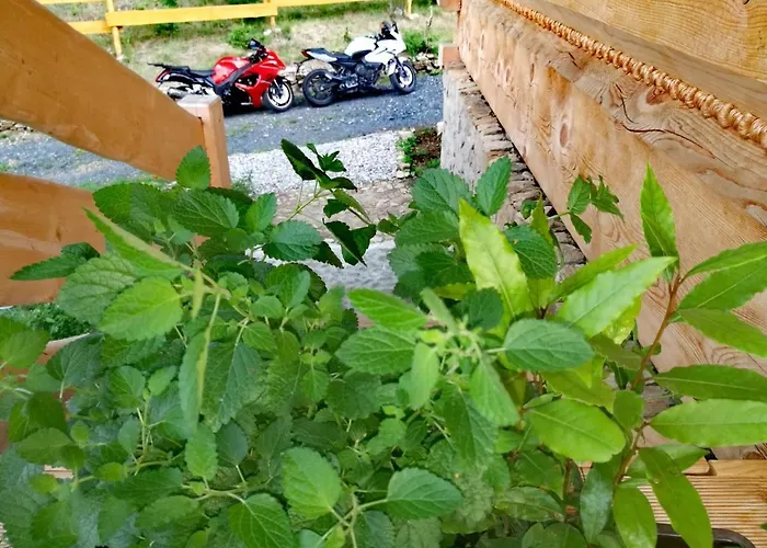 Osada Sudecka Chalet *