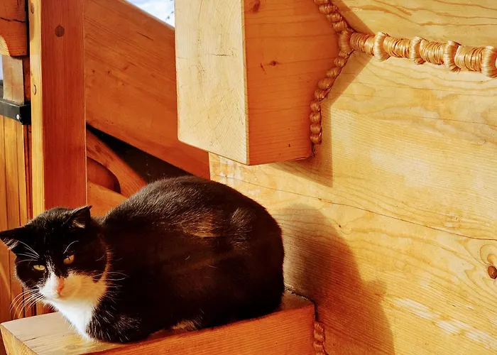 Osada Sudecka Chalet Ladek-Zdroj